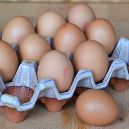 Picture of  Ceramic Egg Tray (12) Mushroom Glazed