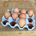 Picture of  Egg Rack (12) Translucent White Glazed