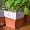 Picture of Windowsill Herb Pot - Oyster