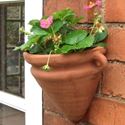 Picture of Amphora Wall Pot