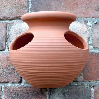 Picture of Strawberry Jar Wall Pot