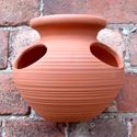 Picture of Strawberry Jar Wall Pot