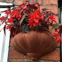 Picture of Bulbous Wall Pot