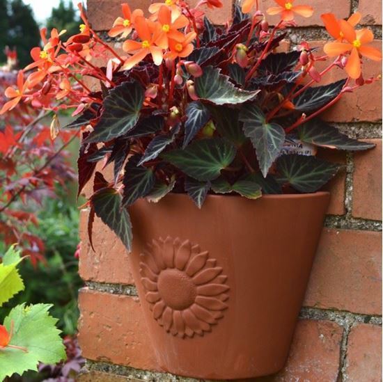 Picture of Sunflower Wall Pot