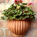 Picture of Malay Wall Pot