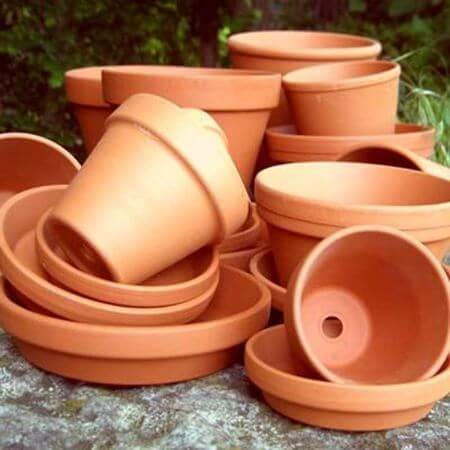 Picture for category Terracotta Plant Pots