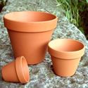 Picture of  Terracotta Plant Pots - F8 (8 cm dia)