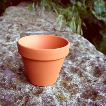 Picture of  Terracotta Plant Pots - F8 (8 cm dia)