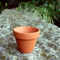 Picture of Terracotta Plant Pots - F6 (5.7cm dia) 