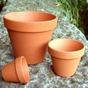 Picture of Terracotta Plant Pots - F6 (5.7cm dia) 