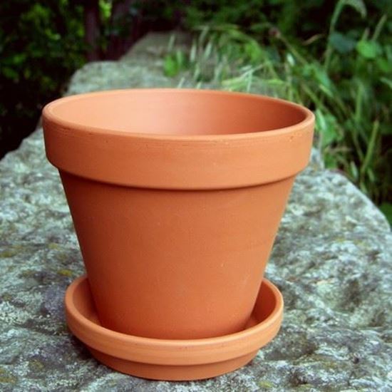 Picture of Terracotta Plant Pots With Saucers - F13 cm & S11 cm