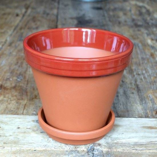 Picture of Terracotta Flower Pot & Saucer - 17cm - Red Glazed