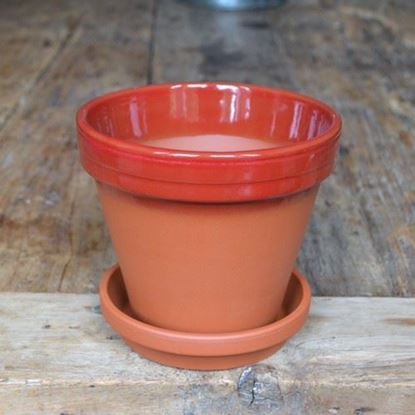 Picture of Terracotta Flower Pot & Saucer - 15cm - Red Glazed