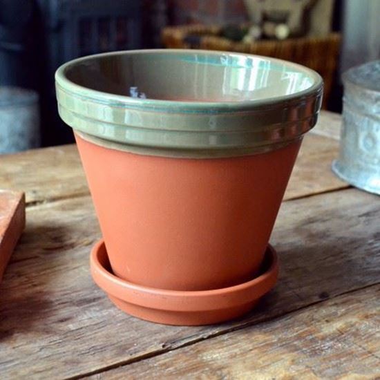 Picture of Terracotta Flower Pot & Saucer - 17cm - Green Glazed