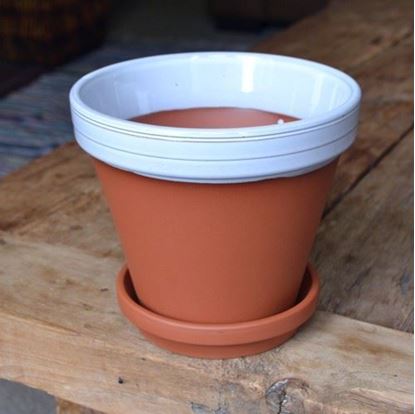 Picture of Terracotta Flower Pot & Saucer - 17cm - White Glazed