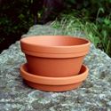 Picture of Half Pots With Saucers (13cm dia)