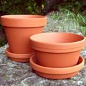 Picture of Half Pots With Saucers (13cm dia)