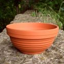 Picture of Ribbed Bowl (16cm dia) - Pk 5