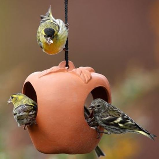 Apple Bird Feeder Weston Mill Pottery Uk