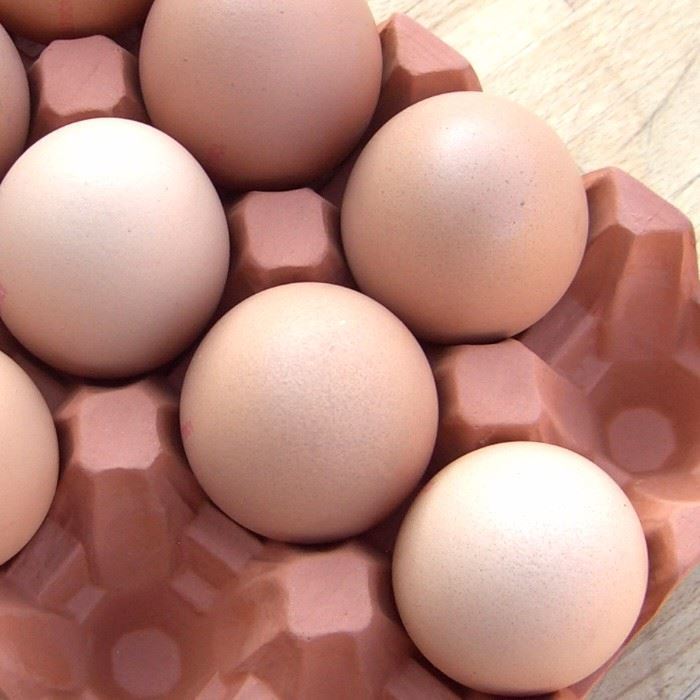 Terracotta Egg Holder