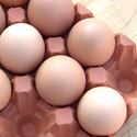 Picture of Egg Rack (12) Terracotta