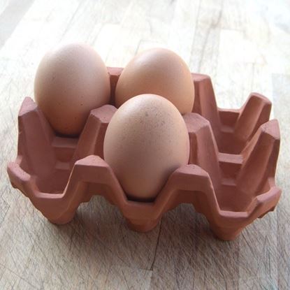 Picture of  Egg Rack (6) Terracotta