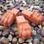 Picture of  Lions Paw Pot Feet (Set of 3)