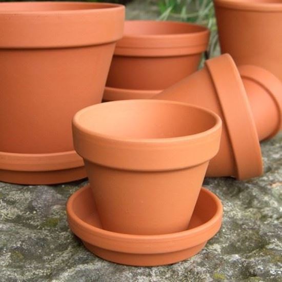 Picture of Terracotta Plant Pots With Saucers - F8 cm & S9 cm 