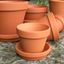 Picture of Terracotta Plant Pots With Saucers - F8 cm & S9 cm 