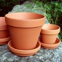 Picture of Terracotta Plant Pots With Saucers - F13 cm & S11 cm