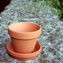 Picture of Terracotta Plant Pots With Saucers - F8 cm & S9 cm 