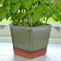 Picture of Windowsill Herb Pot - Apple Green