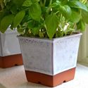 Picture of Windowsill Herb Pot - Oyster