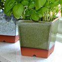 Picture of Windowsill Herb Pot - Apple Green