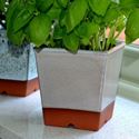 Picture of Windowsill Herb Pot - Mushroom