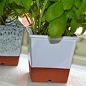 Picture of Windowsill Herb Pot - White 