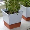 Picture of Windowsill Herb Pot - White 