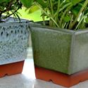 Picture of Windowsill Herb Pot - Apple Green