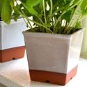 Picture of Windowsill Herb Pot - Mushroom