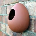 Picture of Egg Wall Bird Feeder