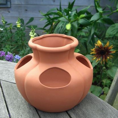 Picture of Strawberry Herb Pot