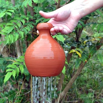 Picture of Thumb Pot Waterer