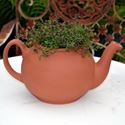 Picture of Teapot Planter | Terracotta | Large