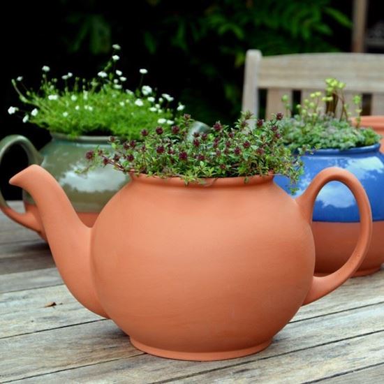 Picture of Teapot Planter | Terracotta | Large