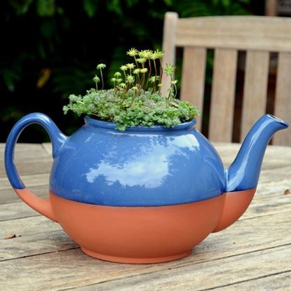 Picture of Teapot Planter Large - Blue