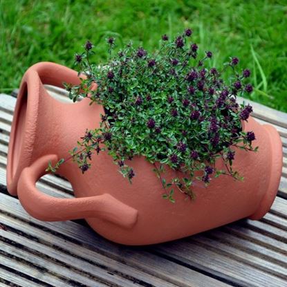 Picture of Amphora Planter Pot