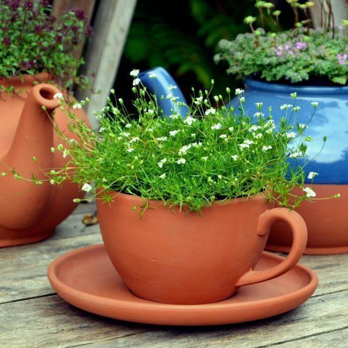 Teacup Planter - Small | Weston Mill Pottery UK