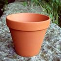 Picture of Terracotta Plant Pots - F15 (15.5cm dia) 