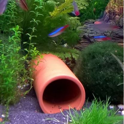 Picture of Fish Tube - 3cm Diam.| Open Both Ends