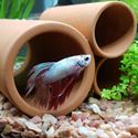 Picture of Fish Tube - 6.5cm Dia. 17cm long| Open Both Ends